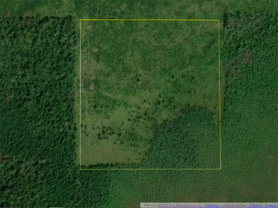 Dawson 2025 07 18 03 wpcf 400x300 stretched | property photo | ontario tax sales