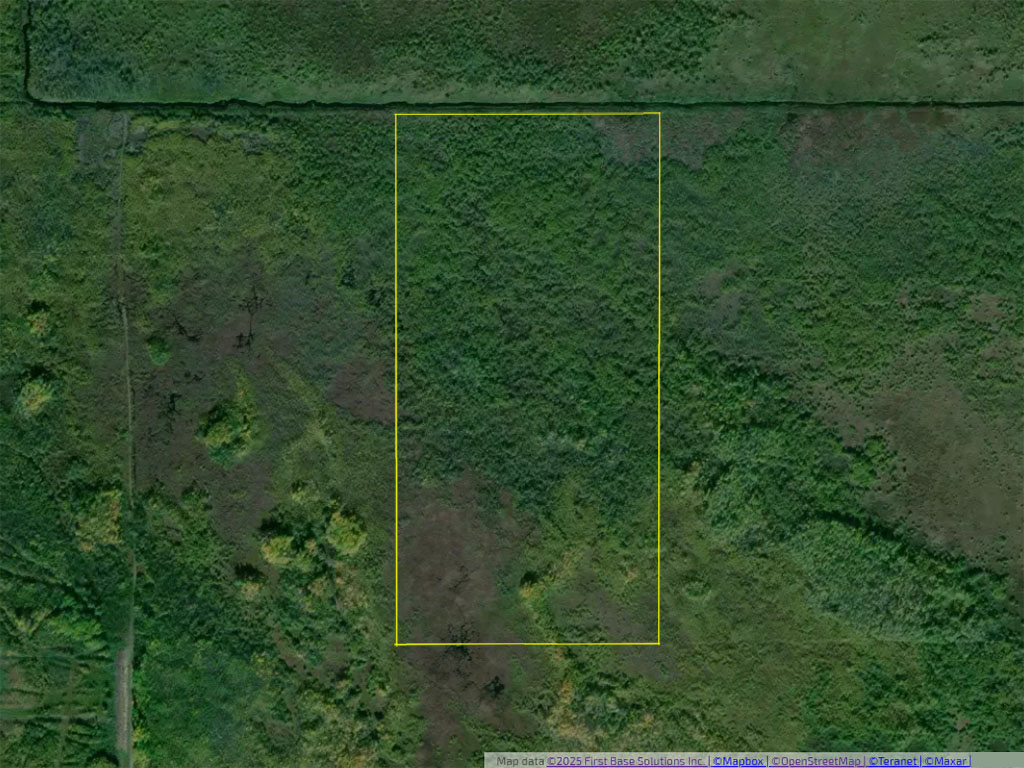 Dawson 2025 07 18 06 | property photo | ontario tax sales