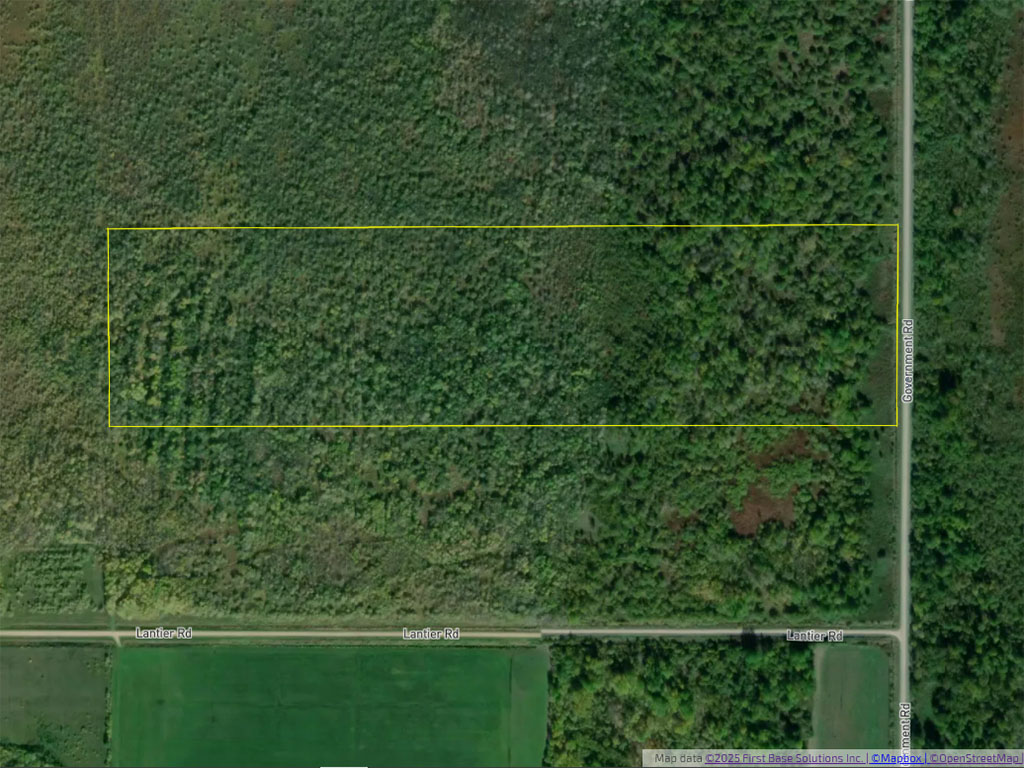 Dawson 2025 07 18 08 | property photo | ontario tax sales